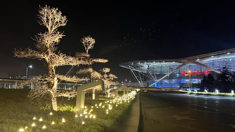 3400盞螢火蟲燈點(diǎn)亮夜空!李滄啟動火車北站景觀照明提升工程